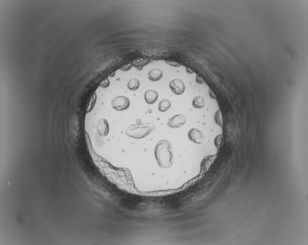 X0000111880211200908131640