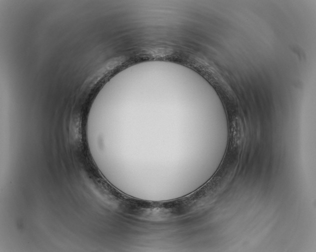 X0000111880212200908131640