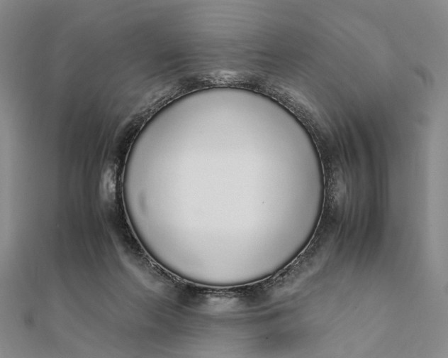 X0000111880214200908131640