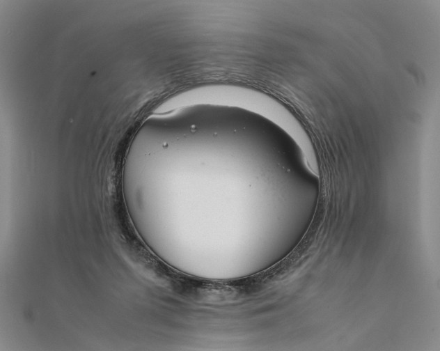 X0000111880215200908131640