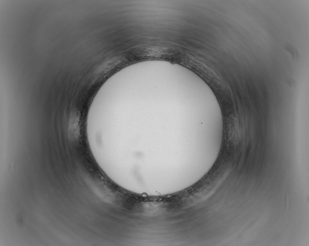 X0000111880216200908131640