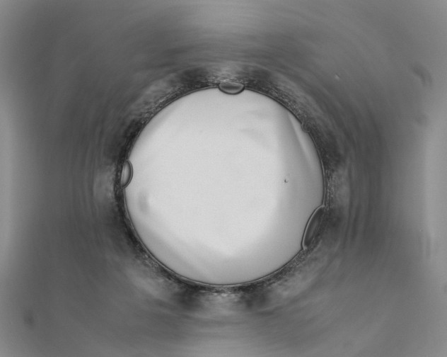 X0000111880217200908131640