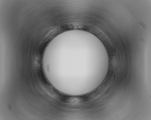 X0000111880218200908131640