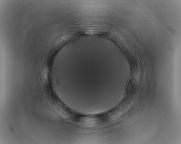 X0000111880219200908131640