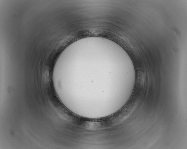 X0000111880220200908131640
