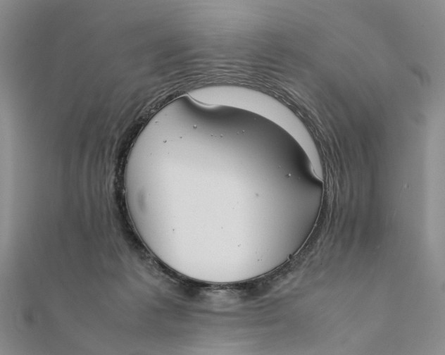 X0000111880221200908131640