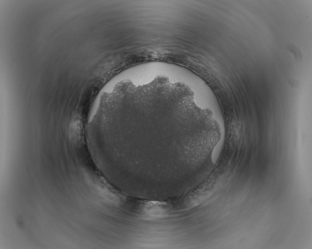 X0000111880222200908131640
