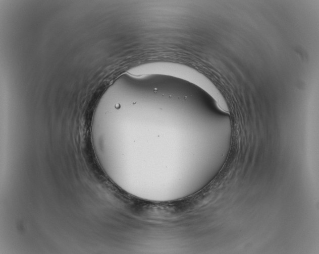 X0000111880223200908131640
