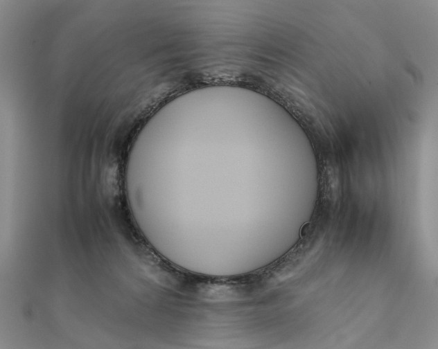 X0000111880224200908131640