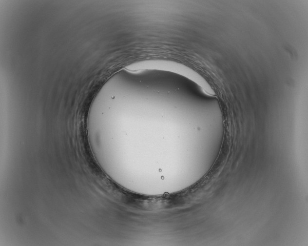 X0000111880225200908131640