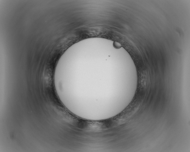 X0000111880226200908131640
