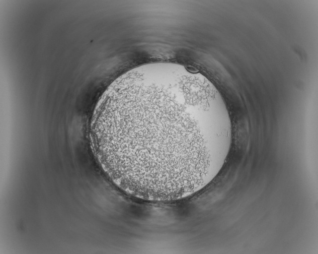 X0000111880229200908131640