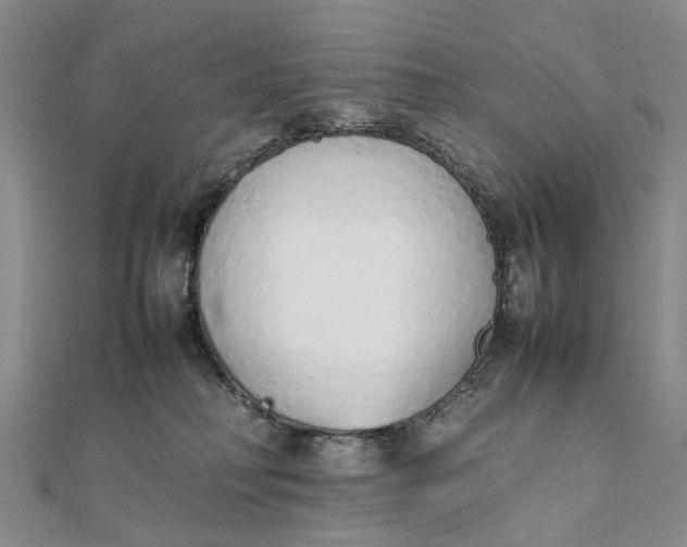 X0000111880230200908131640