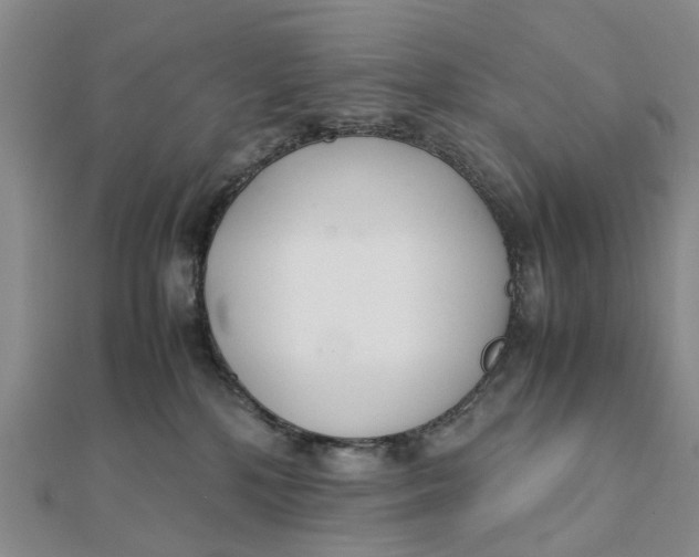 X0000111880232200908131640