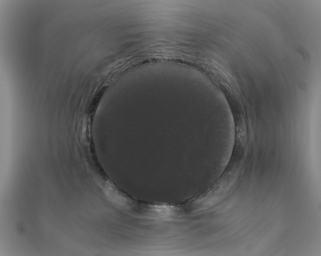 X0000111880233200908131640