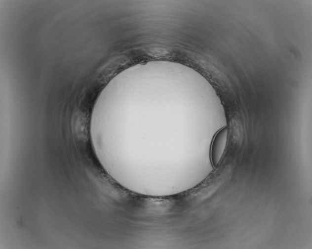 X0000111880234200908131640