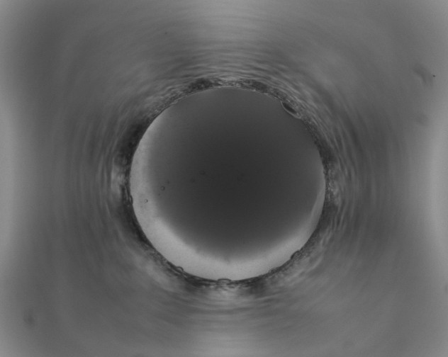 X0000111880235200908131640