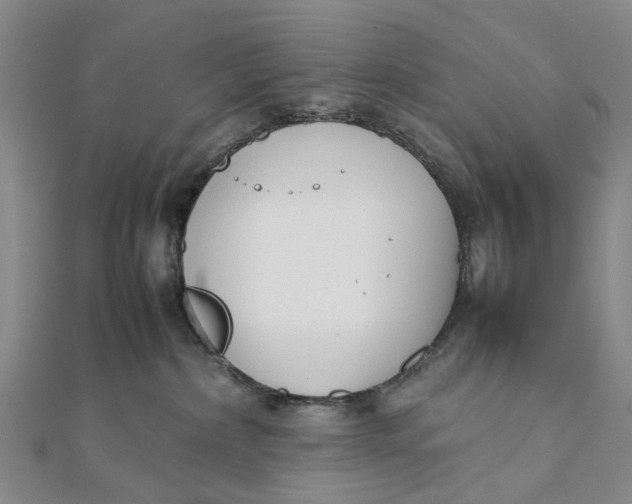 X0000111880236200908131640