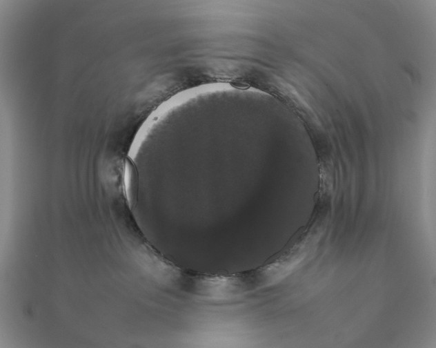 X0000111880237200908131640
