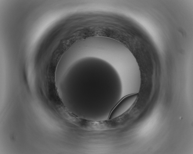 X0000111880239200908131640