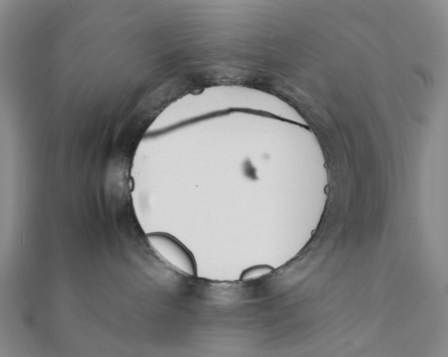 X0000111880240200908131640