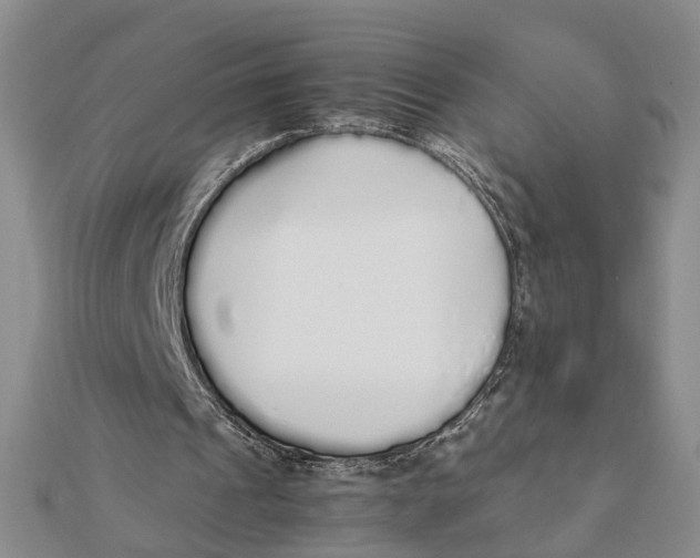 X0000111880241200908131639