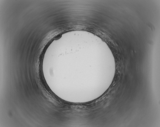 X0000111880242200908131639
