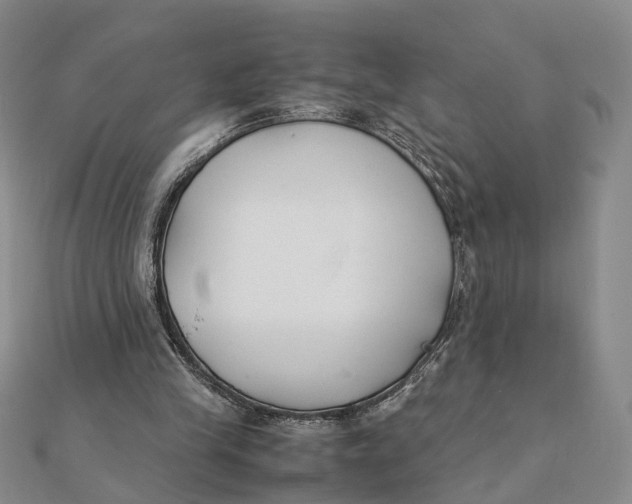 X0000111880245200908131639