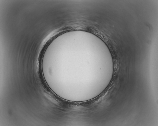 X0000111880246200908131639