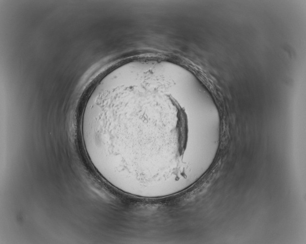 X0000111880247200908131639