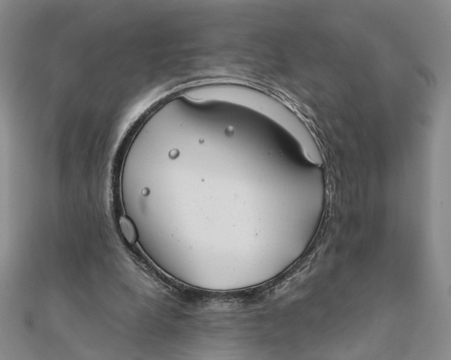 X0000111880248200908131639