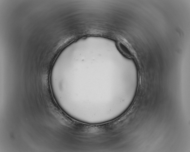 X0000111880249200908131639