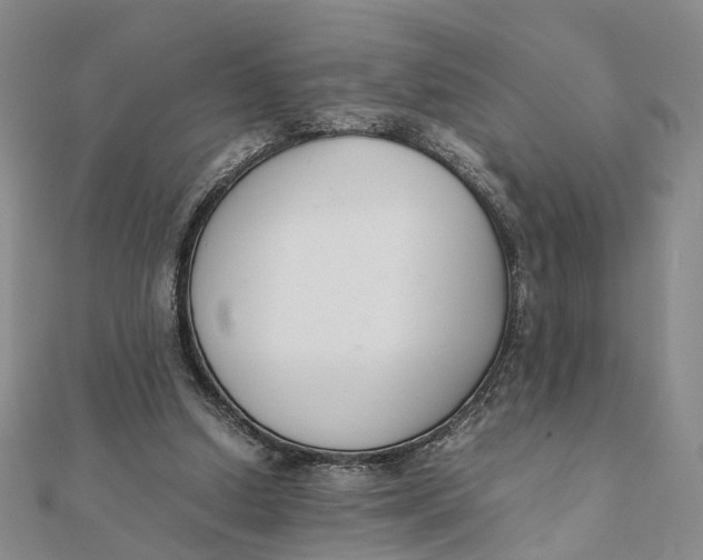 X0000111880250200908131639