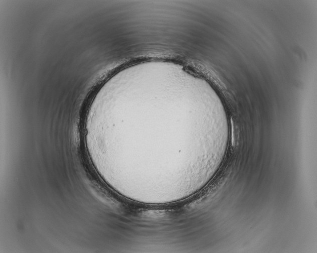 X0000111880252200908131639