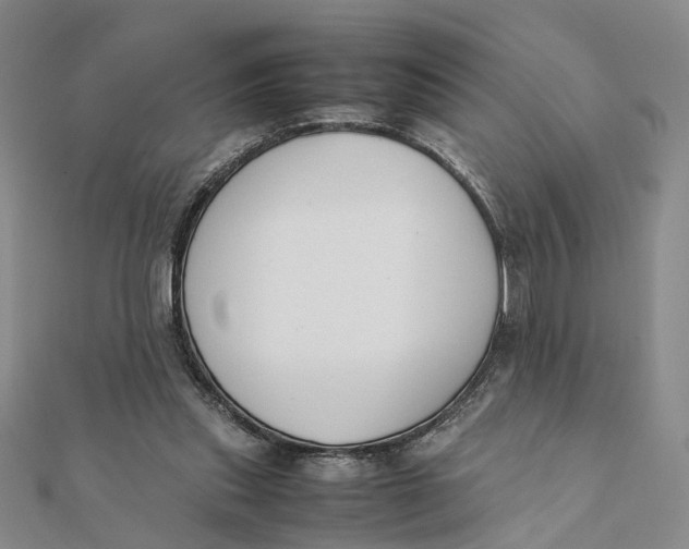X0000111880253200908131639