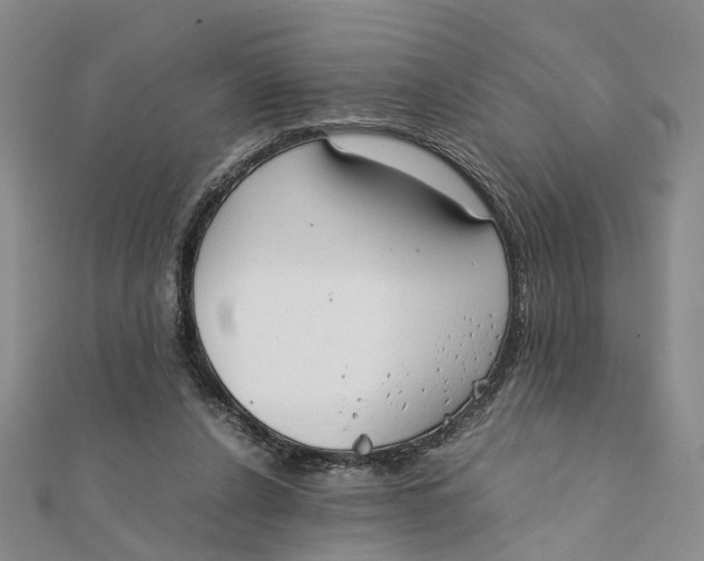 X0000111880256200908131640