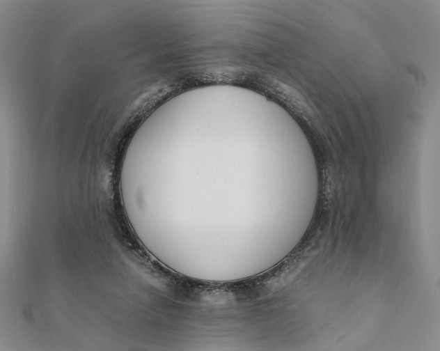 X0000111880258200908131640