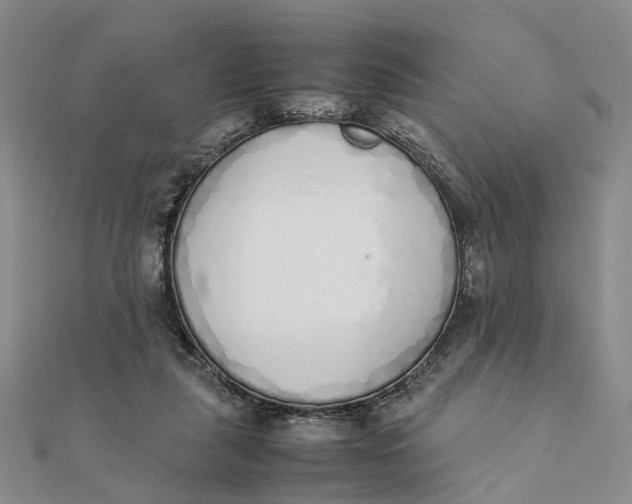 X0000111880259200908131640