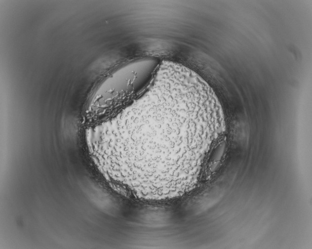 X0000111880260200908131640