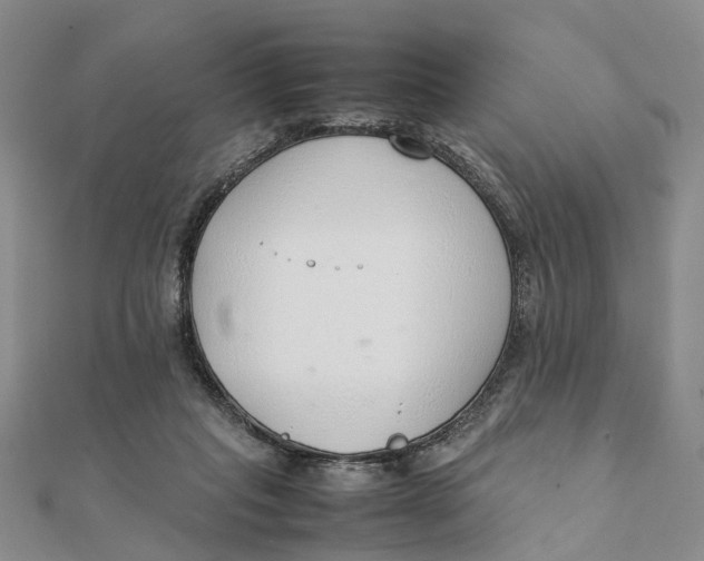 X0000111880261200908131640