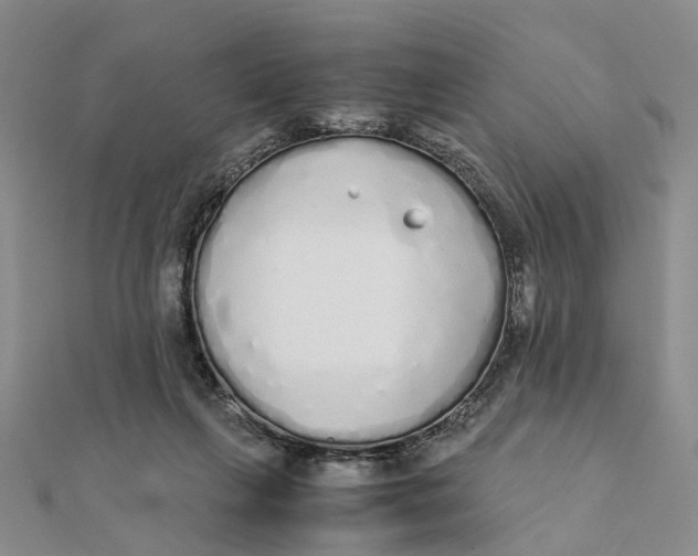X0000111880263200908131640