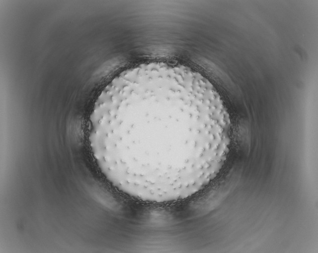 X0000111880264200908131640