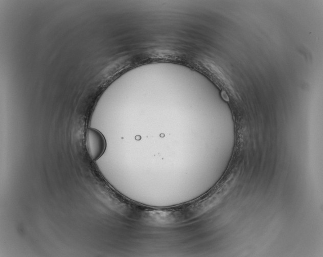 X0000111880265200908131640