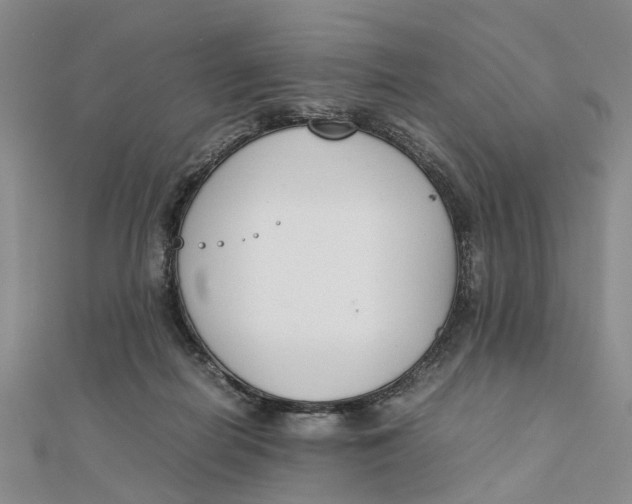 X0000111880266200908131640