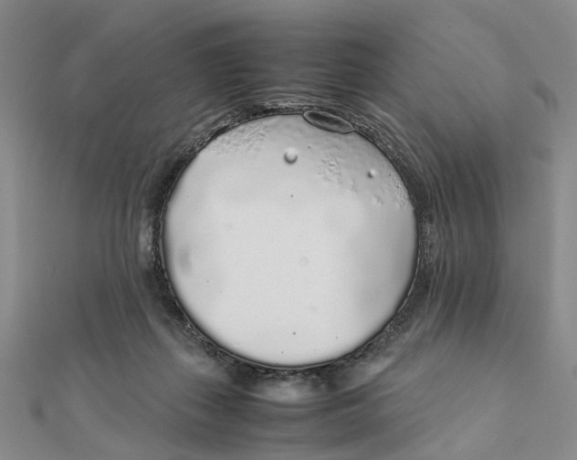 X0000111880267200908131640