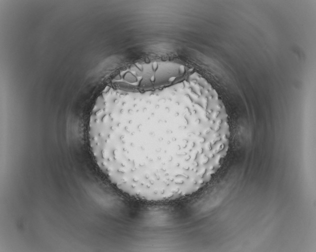 X0000111880268200908131640