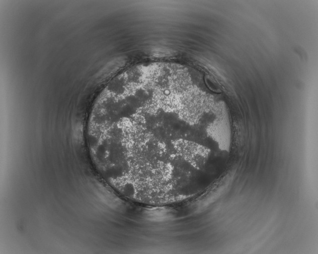 X0000111880269200908131640