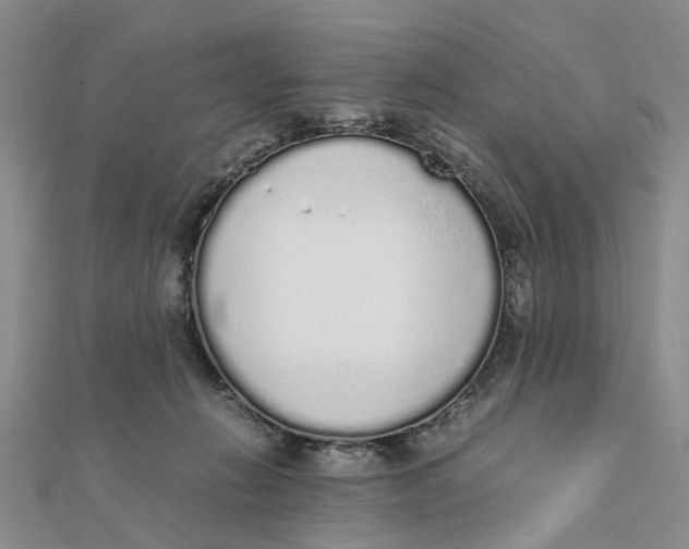 X0000111880270200908131640