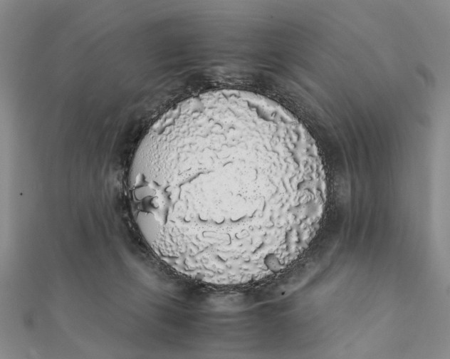 X0000111880271200908131640
