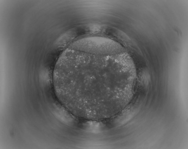 X0000111880272200908131640